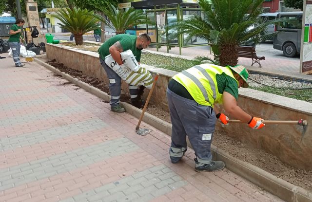 Los beneficiarios de la especialidad de jardinería del programa de garantía juvenil ponen guapo el paseo Fernández Jara - 3, Foto 3