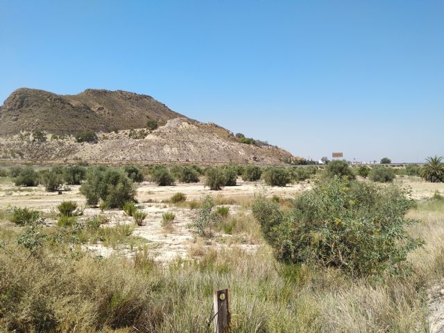 El PSOE exige claridad en la obra de un canal hídrico en la Rambla de Tabala ante el temor de que el agua salada dañe la producción agrícola - 1, Foto 1