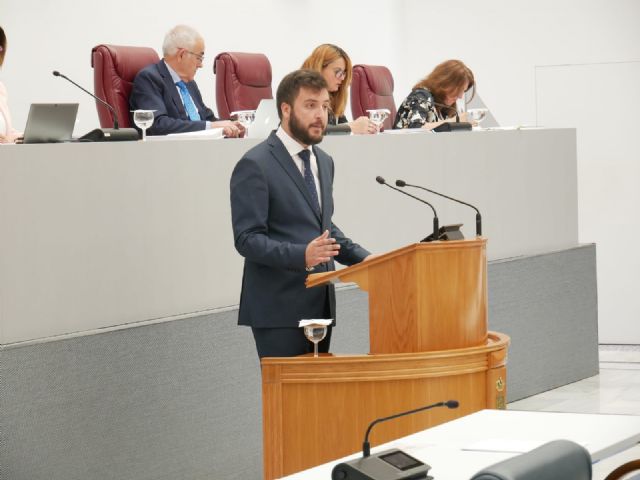 El PPRM exige al Gobierno de España un Plan Nacional de Recuperación del Talento Joven para ayudar a aquellos que han tenido que emigrar en busca de oportunidades - 1, Foto 1