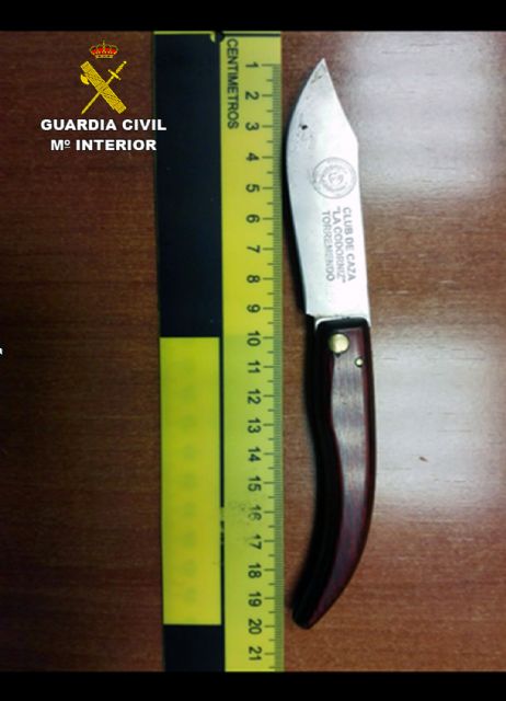 La Guardia Civil esclarece dos delitos de riña tumultuaria con el empleo de armas blancas - 1, Foto 1