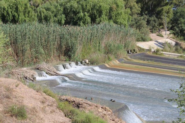 Molina de Segura recibe la mayor inversión del proyecto de restauración ambiental de un tramo del río Segura - 1, Foto 1