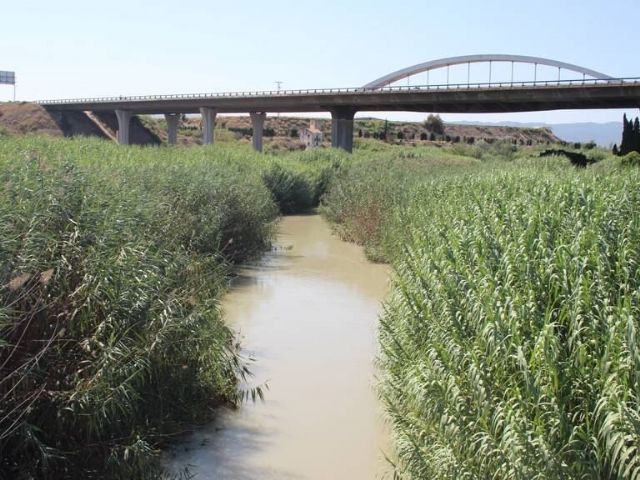 Molina de Segura recibe la mayor inversión del proyecto de restauración ambiental de un tramo del río Segura - 2, Foto 2