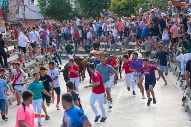 Espectaculares carreras en el cuarto encierro protagonizado por los novillos de Valdellán - 2, Foto 2