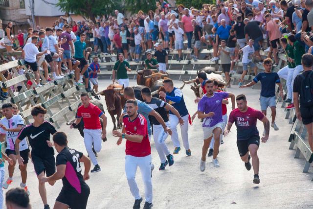 Espectaculares carreras en el cuarto encierro protagonizado por los novillos de Valdellán - 3, Foto 3