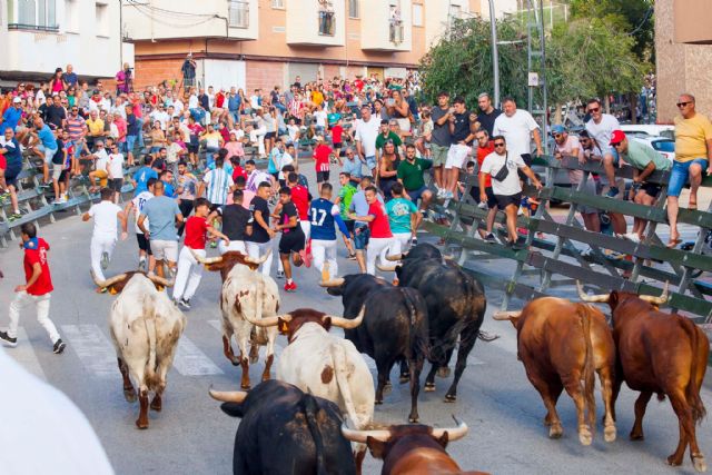 Espectaculares carreras en el cuarto encierro protagonizado por los novillos de Valdellán - 4, Foto 4