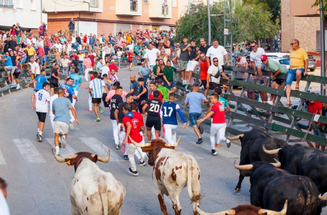 Espectaculares carreras en el cuarto encierro protagonizado por los novillos de Valdellán - 5, Foto 5