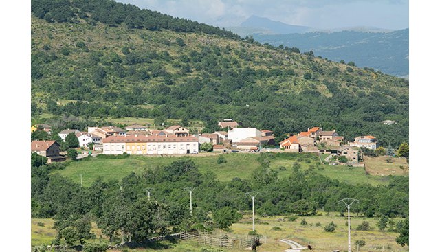 UPA: “El medio rural debe ser uno de los puntales de la recuperación de España” - 1, Foto 1