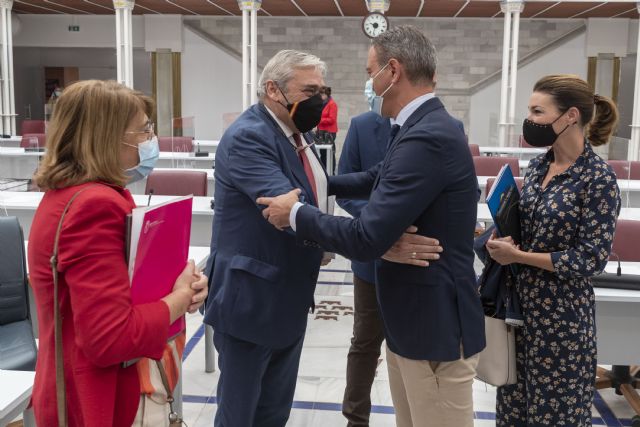 El grupo parlamentario liberal impulsa la transición del sector turístico a un modelo sostenible, digitalizado y de calidad - 1, Foto 1