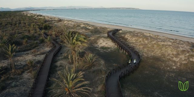 5 rutas en bici para descubrir la Vega Baja a golpe de pedal - 3, Foto 3