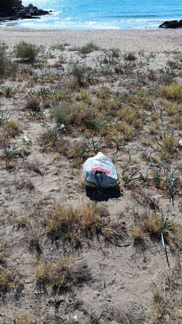 La coalición de Izquierdas (IU+P+AV) denuncia la acumulación de basuras en las playas de Calnegre - 3, Foto 3