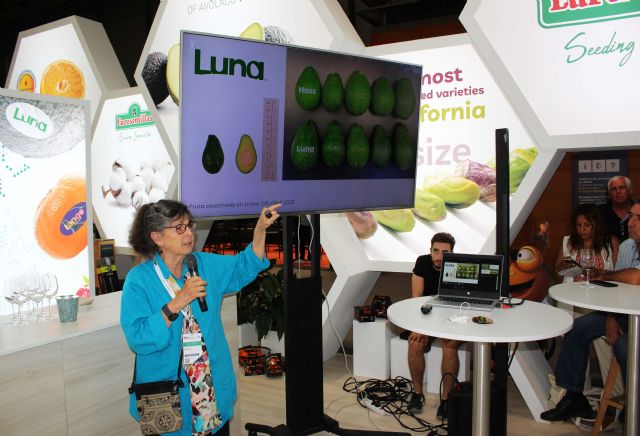 El árbol del aguacate LUNA ucr ocupa la mitad que el de Hass y es siete veces más eficiente en producción - 1, Foto 1