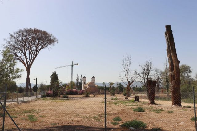 Huermur logra que el ayuntamiento inste el desentubamiento de la acequia de Churra para salvar los pinos centenarios - 4, Foto 4