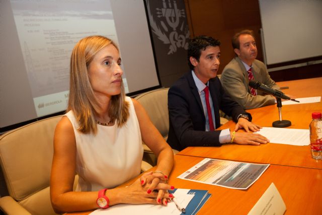 IBERDROLA presenta a los ingenieros técnicos industriales el sistema de redes inteligentes de distribución eléctrica que aporta información al instante de suministro y ciberdatos - 1, Foto 1