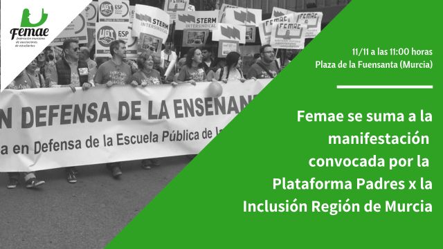 Femae acudirá a la manifestación de la Plataforma Padres X la Inclusión en defensa de los derechos de los estudiantes con necesidades educativas especiales - 1, Foto 1