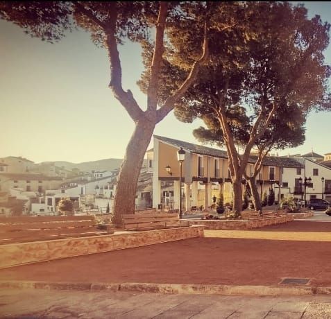 El Plan de recuperación integral del Casco Antiguo de Cehegín avanza con la remodelación del jardín de la Plaza del Castillo - 5, Foto 5