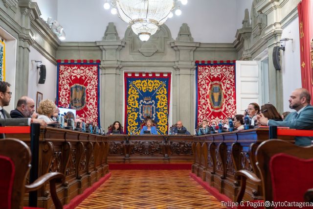 El pleno se muestra unido en su apoyo y solidaridad con Valencia - 1, Foto 1