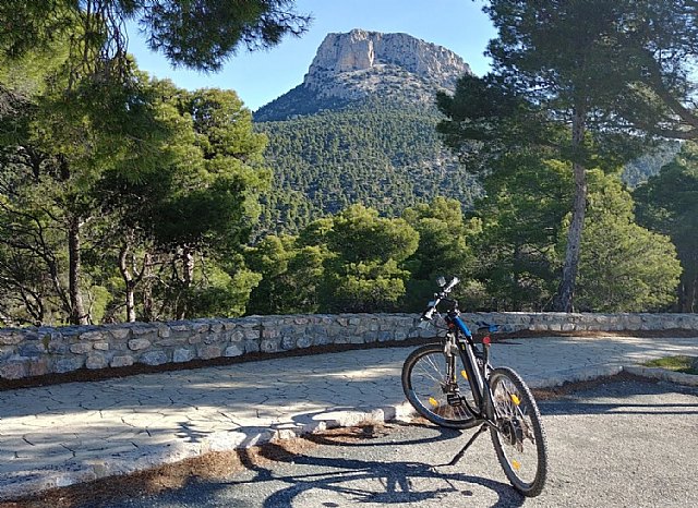 Un año más la bici ha sido el regalo estrella para potenciar hábitos de vida saludables, según Bikestocks - 1, Foto 1