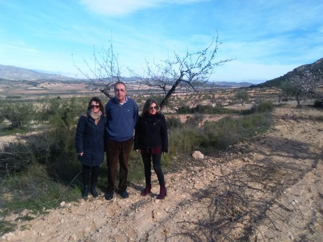 Agricultura concede 5,3 millones de euros en ayudas a 350 productores para la conservación de suelos - 1, Foto 1