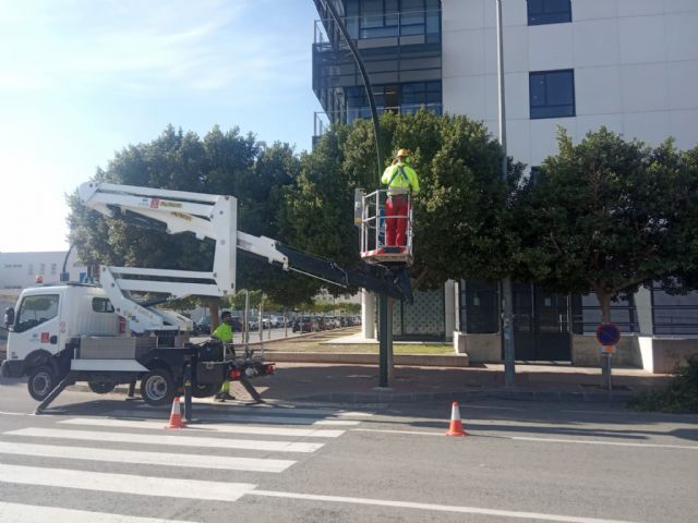 El Ayuntamiento realiza podas de formación para garantizar la seguridad de los vecinos y embellecer las zonas verdes del municipio - 1, Foto 1