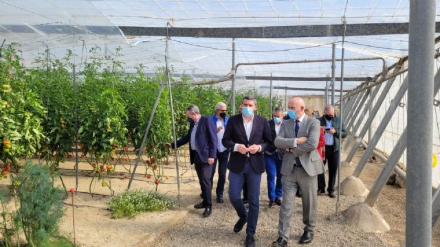 El Gobierno regional y Cajamar acuerdan potenciar la innovación, formación e investigación en materia agroalimentaria en la Región de Murcia - 1, Foto 1