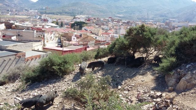 Ciudadanos Cartagena reclama la presencia de los grupos de la oposición en la Mesa de Trabajo del Manifiesto Fénix - 1, Foto 1