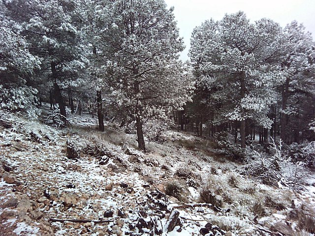 Las primeras nieves del invierno llegan a las cotas más altas del parque regional de Sierra Espuña - 3, Foto 3