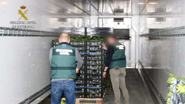 La Guardia Civil de Alicante intercepta un camión que transportaba marihuana escondida entre toneladas de verdura - 1, Foto 1