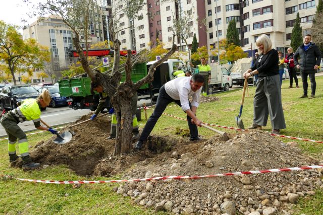 El Alcalde Serrano anuncia la plantación de cerca de 3.500 árboles durante 2023 - 1, Foto 1