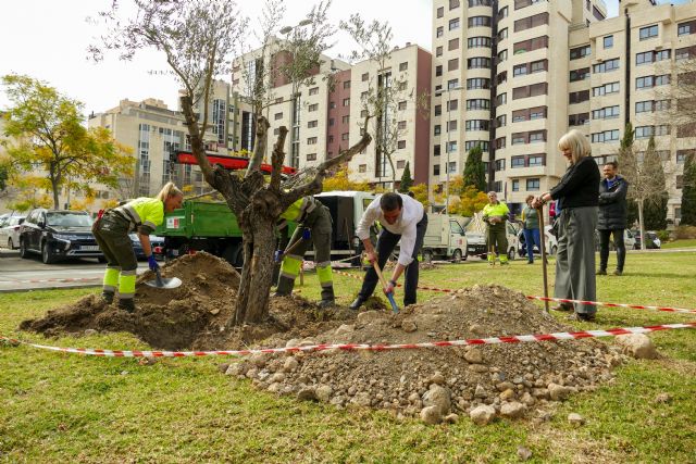 El Alcalde Serrano anuncia la plantación de cerca de 3.500 árboles durante 2023 - 4, Foto 4