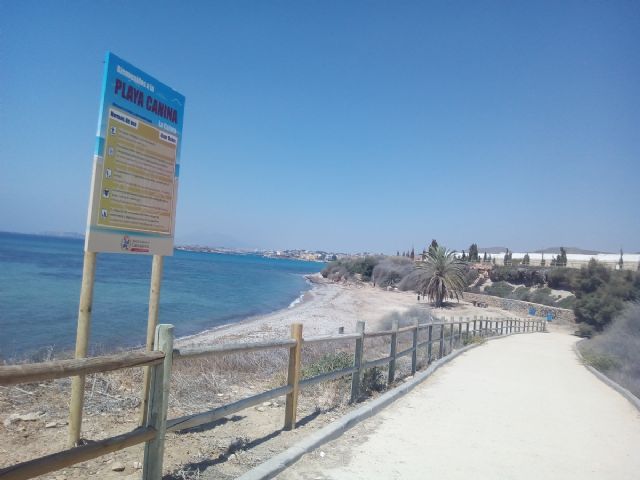 Adelante la ordenanza que permitirá la celebración de bodas y más playas caninas en el litoral - 1, Foto 1