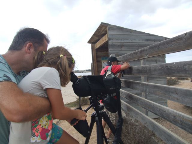 Medio Ambiente colabora en la campaña de sensibilización contra la matanza, captura y comercio ilegal de aves migratorias - 1, Foto 1