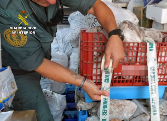 La Guardia Civil decomisa más de una tonelada de pescado en dos pescaderías y en una lonja - 2, Foto 2