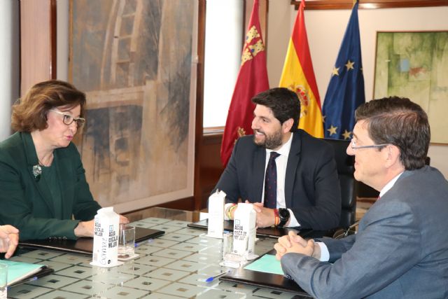 Fernando López Miras se reúne con la presidenta del Colegio de Médicos de la Región de Murcia - 2, Foto 2