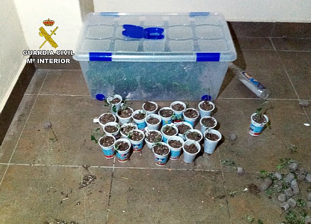 La Guardia Civil vuelve a desmantelar un activo punto de venta de droga en Llano de Brujas - 2, Foto 2