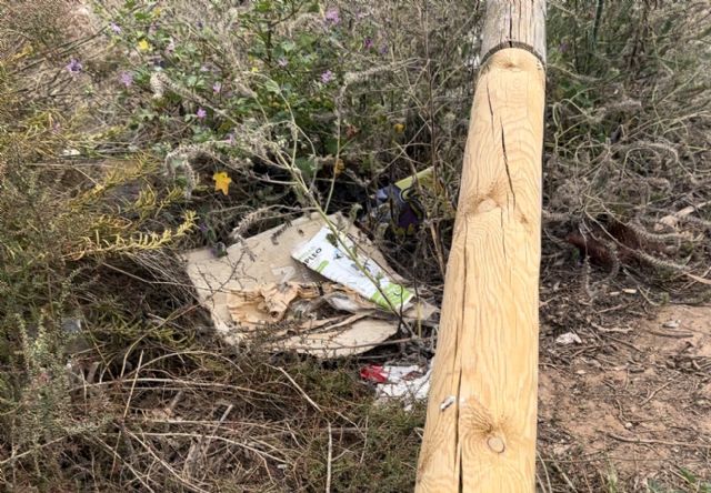 MC no ve avances del gobierno de Arroyo para paliar la dejadez en Playa Paraíso - 4, Foto 4