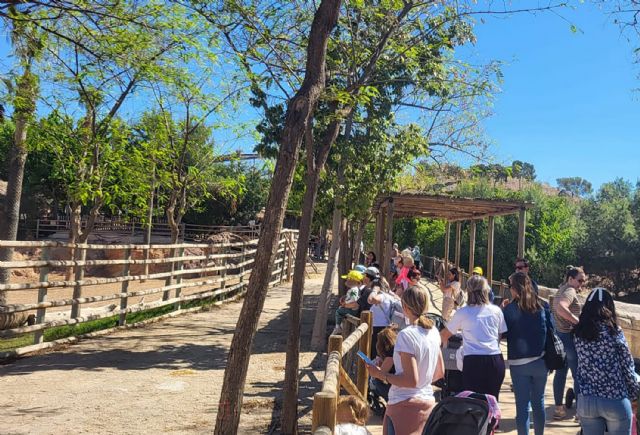 Las escuelas infantiles se van de excursión a Terra Natura - 3, Foto 3