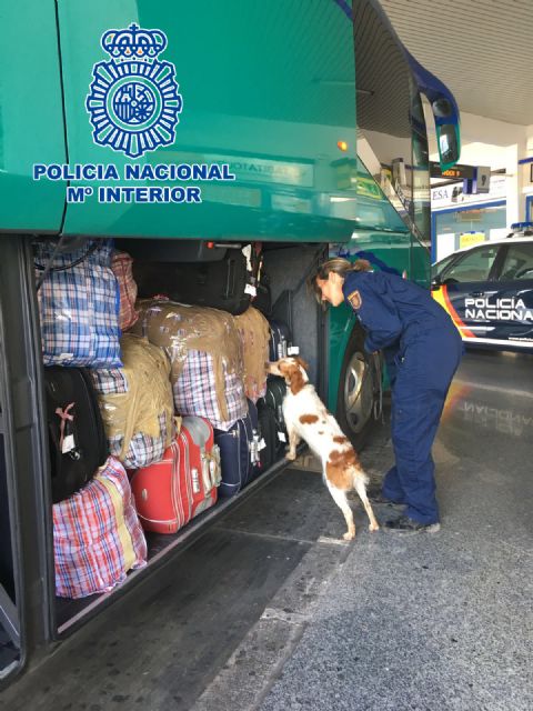 Detenidas en la estación de autobuses de Murcia con 20 kilos de hachís - 1, Foto 1