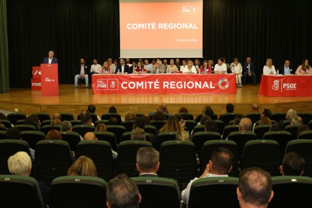 Francisco Lucas e Inma Sánchez serán cabezas de lista al Congreso y al Senado, respectivamente, para las elecciones generales - 3, Foto 3