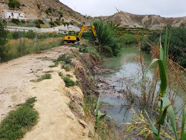 La CHS recupera el cauce del río Segura y elimina las cañas entre Ojós y Molina de Segura - 1, Foto 1