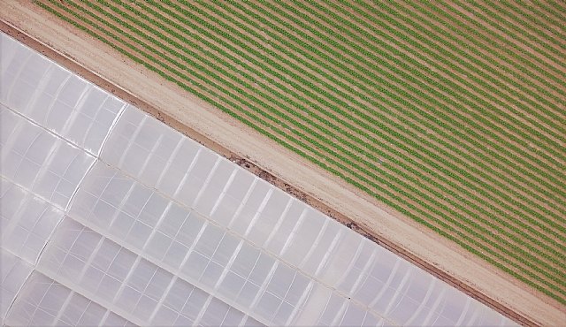 Murcia, región pionera en el mundo en reciclaje de plásticos finos de uso agrario - 2, Foto 2