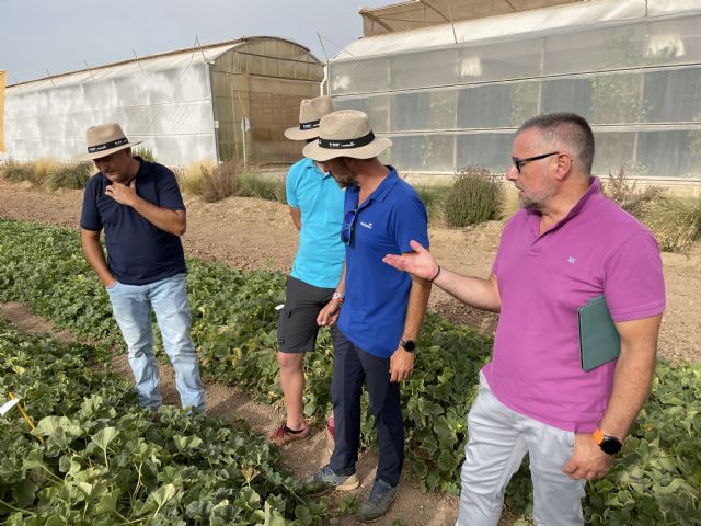 BASF ´revitaliza´ la sandía y el melón con una ´lluvia´ de conceptos y soluciones innovadoras - 1, Foto 1