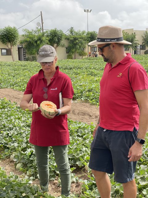 BASF ´revitaliza´ la sandía y el melón con una ´lluvia´ de conceptos y soluciones innovadoras - 2, Foto 2