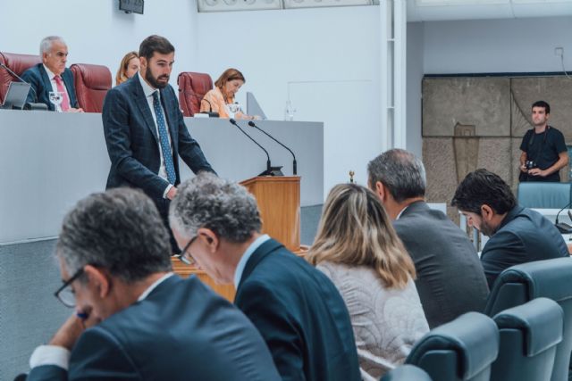 VOX vota en contra de la investidura de López Miras y puntualiza: El PP conduce a las urnas a los habitantes de la Región de Murcia por mandato del señor Feijóo - 2, Foto 2