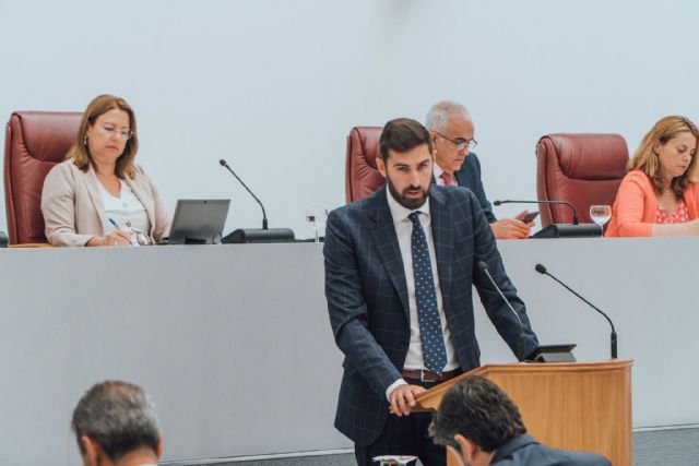 VOX vota en contra de la investidura de López Miras y puntualiza: El PP conduce a las urnas a los habitantes de la Región de Murcia por mandato del señor Feijóo - 4, Foto 4