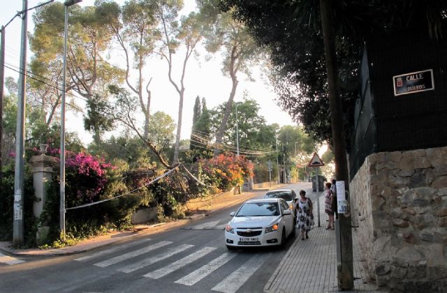 El PSOE pide la intervención del Ayuntamiento en La Alberca ante el deterioro de viviendas catalogadas y la caída de pinos centenarios - 1, Foto 1