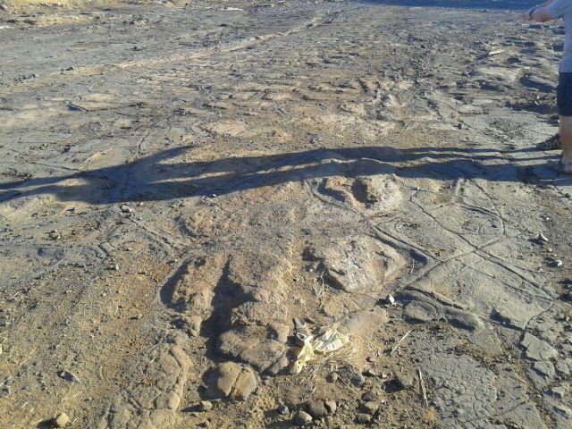 Podemos denuncia que nuevas roturaciones en el Mar Menor están arrasando con una calzada romana de la zona - 1, Foto 1