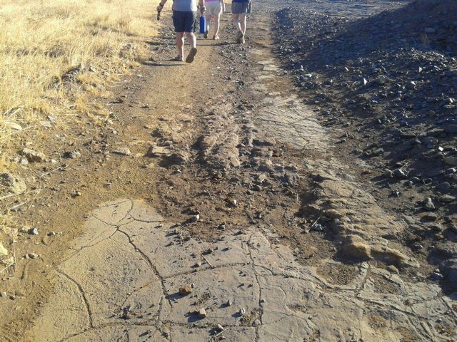 Podemos denuncia que nuevas roturaciones en el Mar Menor están arrasando con una calzada romana de la zona - 2, Foto 2