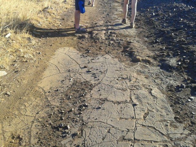 Podemos denuncia que nuevas roturaciones en el Mar Menor están arrasando con una calzada romana de la zona - 3, Foto 3