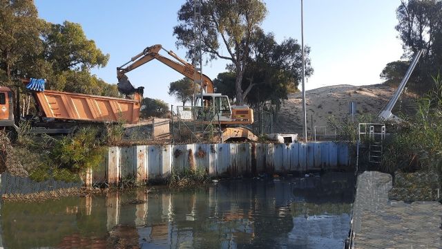 La CHS continúa con la campaña de desbroces en el río Segura y en cauces secundarios de la cuenca - 1, Foto 1