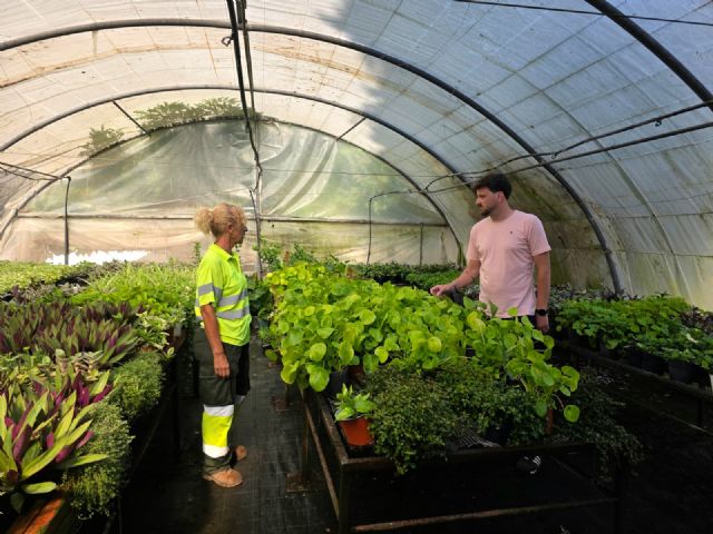 Los Viveros Municipales de La Torrecilla producen cada año más de 20.000 plantas para embellecer Lorca y sus pedanías Los Viveros Municipales de La Torrecilla producen cada año más de 20.000 plantas para embellecer Lorca y sus pedanías